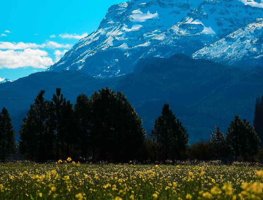 d&eacute;couvrez l'aventure ultime en islande durant l'hiver : paysages enneig&eacute;s, aurores bor&eacute;ales, et explorations uniques vous attendent.