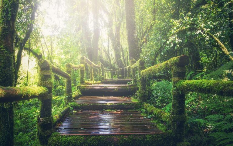 d&eacute;couvrez des aventures en plein air inoubliables alliant nature, d&eacute;couverte et sensations fortes pour tous les passionn&eacute;s d'activit&eacute;s outdoor.