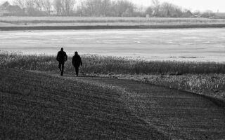d&eacute;couvrez la randonn&eacute;e dans la mer des wadden, un site naturel unique class&eacute; au patrimoine mondial, offrant des paysages marins exceptionnels et une biodiversit&eacute; remarquable.
