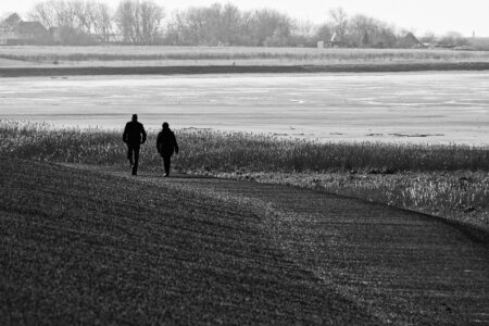 d&eacute;couvrez la randonn&eacute;e dans la mer des wadden, un site naturel unique class&eacute; au patrimoine mondial, offrant des paysages marins exceptionnels et une biodiversit&eacute; remarquable.