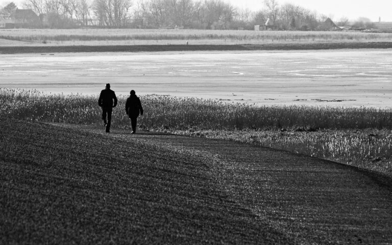 d&eacute;couvrez la randonn&eacute;e dans la mer des wadden, un site naturel unique class&eacute; au patrimoine mondial, offrant des paysages marins exceptionnels et une biodiversit&eacute; remarquable.