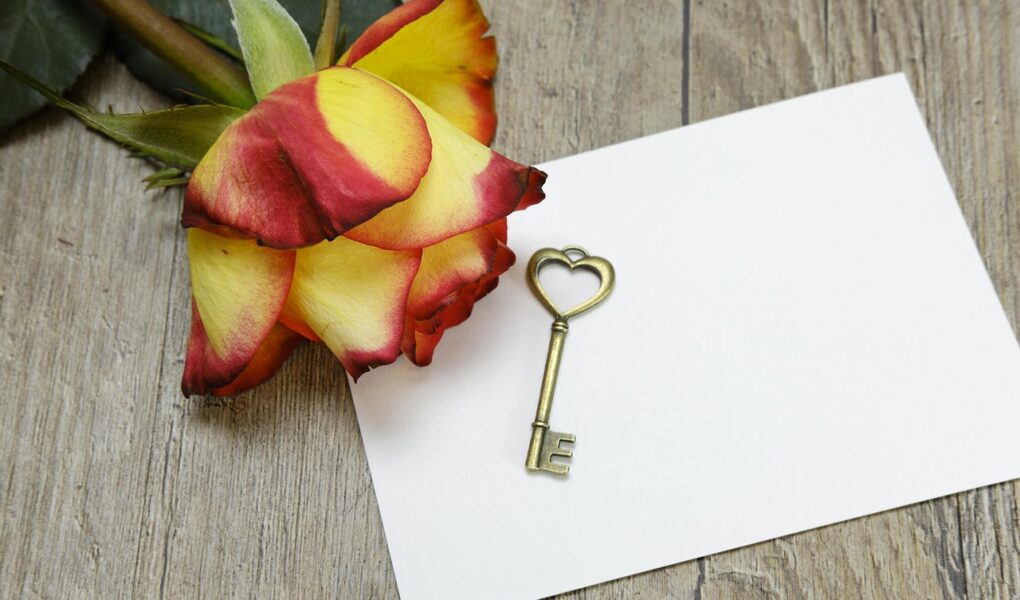 d&eacute;couvrez nos journ&eacute;es portes ouvertes pour explorer nos installations, rencontrer notre &eacute;quipe et en savoir plus sur nos offres et services.