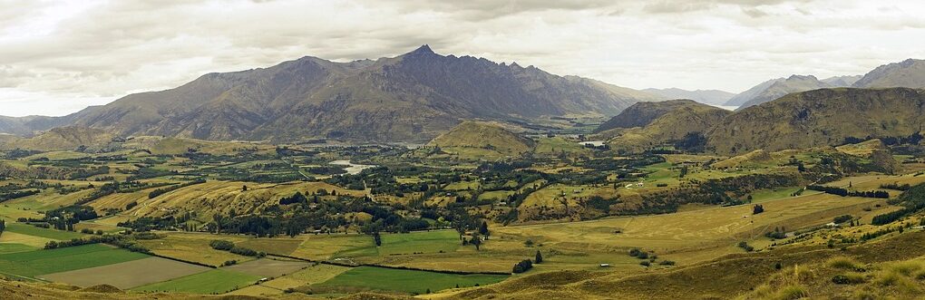 dernières nouvelles régionales : suivez l'actualité locale en temps réel, événements, politiques, économie et culture près de chez vous.