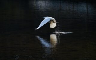 d&eacute;couvrez les vols commerciaux entre la russie et la cor&eacute;e du nord, facilitant les &eacute;changes et les voyages entre ces deux pays.