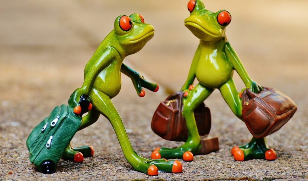 d&eacute;couvrez des astuces, conseils et destinations incontournables pour voyager et vivre des exp&eacute;riences inoubliables autour du monde.