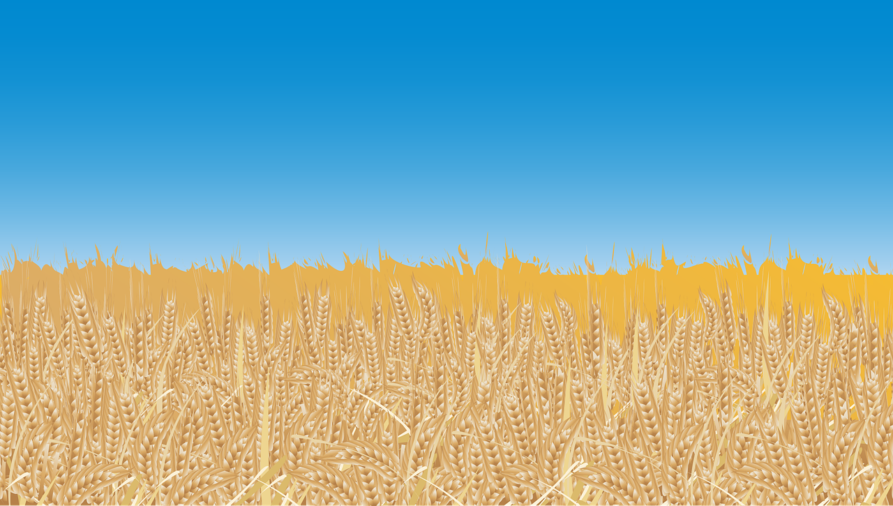 d&eacute;couvrez les villages touristiques ukrainiens, leurs traditions authentiques, paysages pittoresques et exp&eacute;riences culturelles uniques pour un voyage inoubliable.