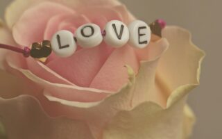 d&eacute;couvrez des id&eacute;es cr&eacute;atives pour c&eacute;l&eacute;brer la saint-valentin et la galentine's day, des moments parfaits &agrave; partager en couple ou entre amies.