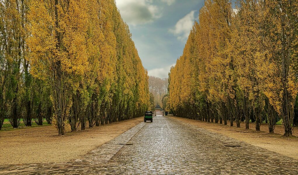 d&eacute;couvrez le guide complet du ch&acirc;teau de versailles : histoire, visites, conseils pratiques et secrets pour explorer ce joyau du patrimoine fran&ccedil;ais.
