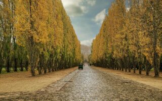 d&eacute;couvrez le guide complet du ch&acirc;teau de versailles : histoire, visites, conseils pratiques et secrets pour explorer ce joyau du patrimoine fran&ccedil;ais.
