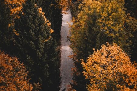 d&eacute;couvrez les meilleurs sentiers de randonn&eacute;e, conseils pour bien pr&eacute;parer vos sorties en pleine nature et profitez d'aventures inoubliables en randonn&eacute;e.