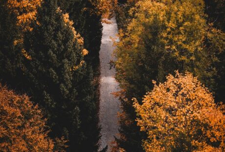 d&eacute;couvrez les meilleurs sentiers de randonn&eacute;e, conseils pour bien pr&eacute;parer vos sorties en pleine nature et profitez d'aventures inoubliables en randonn&eacute;e.