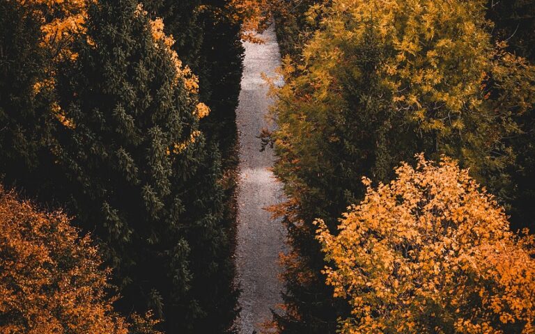 d&eacute;couvrez les meilleurs sentiers de randonn&eacute;e, conseils pour bien pr&eacute;parer vos sorties en pleine nature et profitez d'aventures inoubliables en randonn&eacute;e.