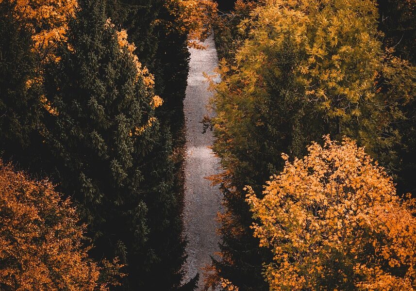 d&eacute;couvrez les meilleurs sentiers de randonn&eacute;e, conseils pour bien pr&eacute;parer vos sorties en pleine nature et profitez d'aventures inoubliables en randonn&eacute;e.